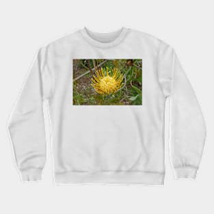 Lavender Farms Study 33 Crewneck Sweatshirt